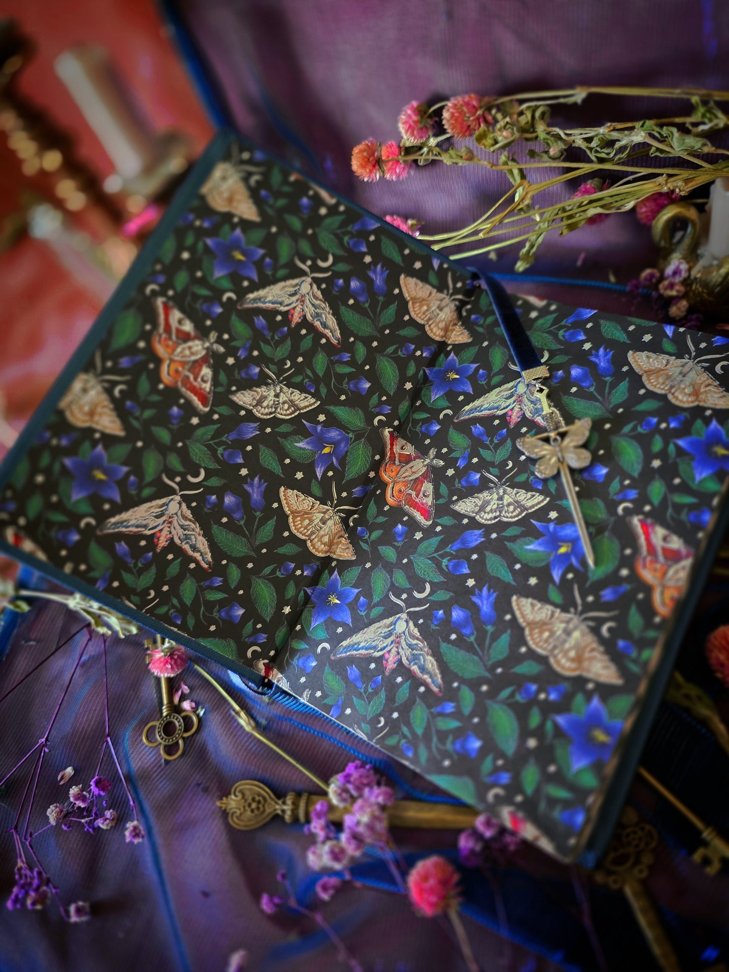 The Knight And The Moth by Rachel Gillig